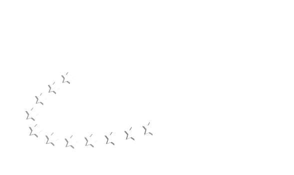 AEO